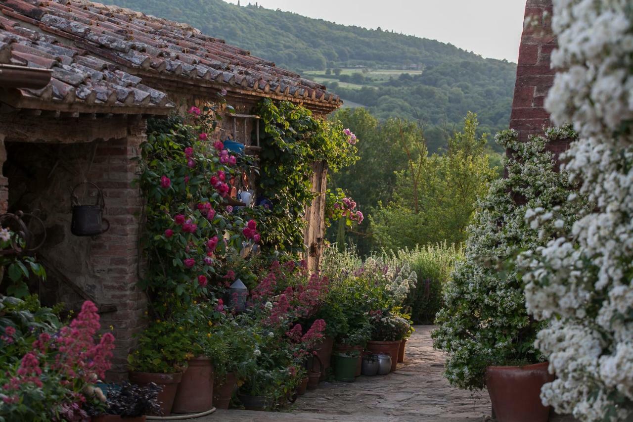 Follonico 4-Suite B&B Torrita di Siena Εξωτερικό φωτογραφία